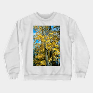 Yellow Maples Crewneck Sweatshirt
